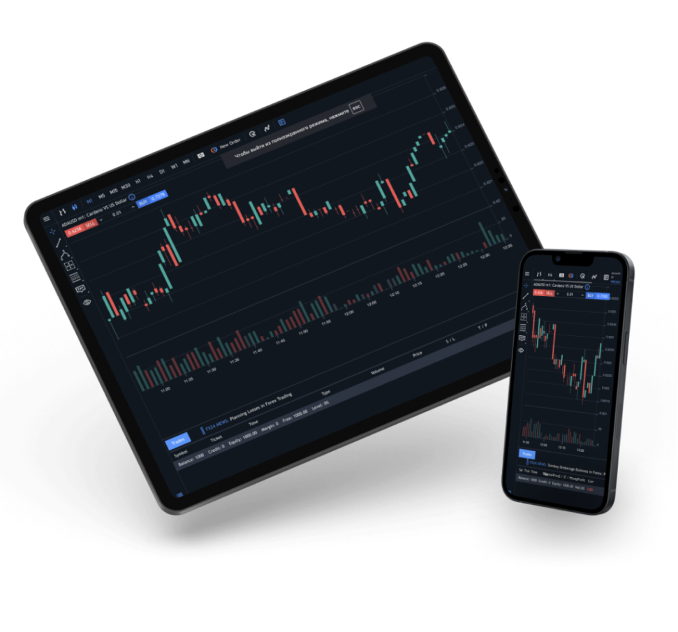 Investment app preview